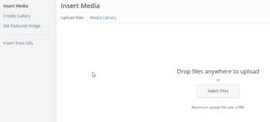 WordPress Insert Media