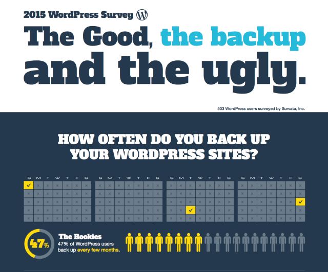 Wordpress User Survey - Codeguard infographic image