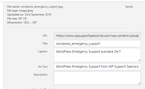 Using Yoast in WordPress from WP Support Specialists
