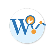 wp yoast mini icon