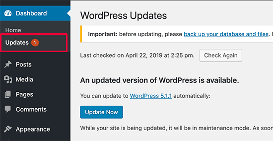 Updating WordPress_WP Website Support Services