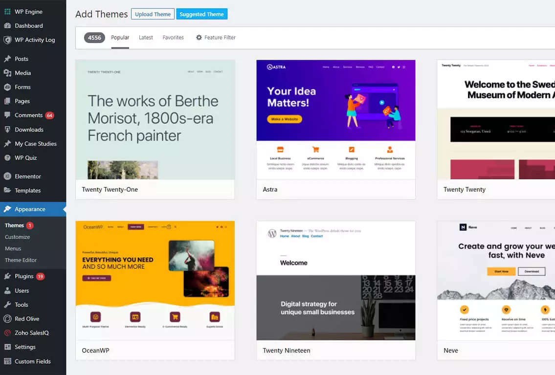 wordpress themes