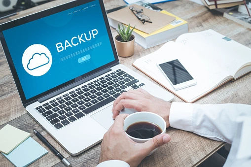 wordpress backup