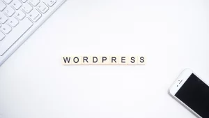 Wordpress responsive